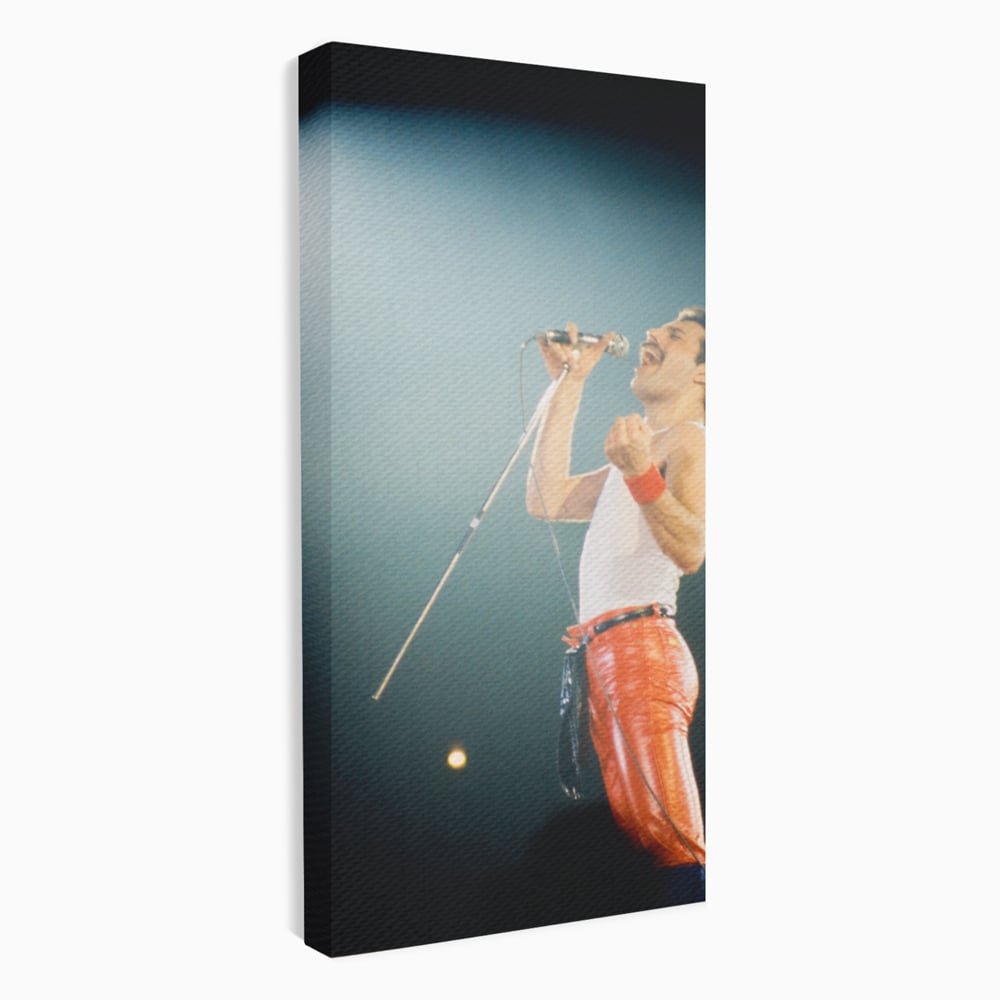 Tablou canvas cu tablou canvas cu freddie mercury, fara rama, pe sasiu de lemn